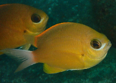 2_Ҥޤꤹ_꡼󥷥å 2025-11-03 093754.png