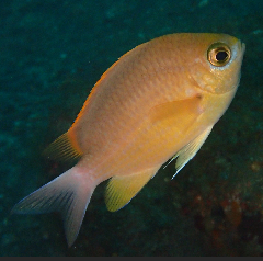 2_Ҥޤꤹ_꡼󥷥å 2025-11-03 093834.png