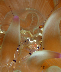 2_㥯‗꡼󥷥å 2025-11-10 073417.png