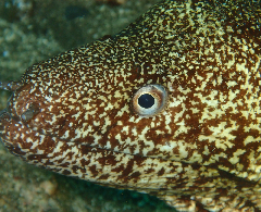 2_ĥܡ꡼󥷥å 2025-11-03 094316_2.png