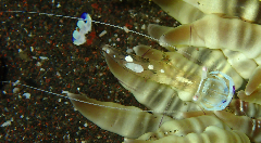 2_���ɥꥫ���쥨��_�����꡼�󥷥�å� 2025-12-14 054844.png