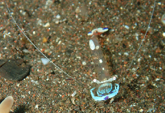 2_���ɥꥫ���쥨��_�����꡼�󥷥�å� 2025-12-21 070418.png