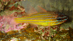 2_���󥻥󥤥����_�����꡼�󥷥�å� 2025-12-21 071745.png