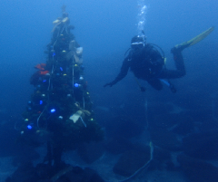 2_���ꥹ�ޥ��ĥ꡼�������_�����꡼�󥷥�å� 2025-12-21 100008.png