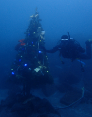 2_���ꥹ�ޥ��ĥ꡼�������_�����꡼�󥷥�å� 2025-12-21 100122.png