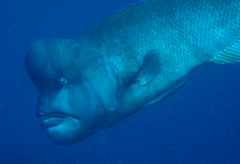 2_���֥���_������Ȥ���_�����꡼�󥷥�å� 2026-01-25 122854.png