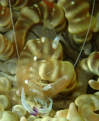 2_꡼󥷥å 2025-11-30 073750.png