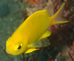 2_꡼󥷥å 2025-11-30 073916.png