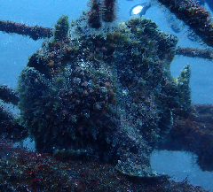 2_꡼󥷥å 2025-11-30 074053.png