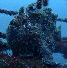 2_꡼󥷥å 2025-11-30 074121.png