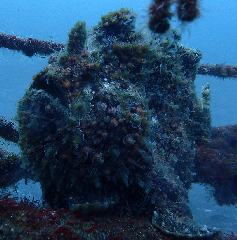 2_꡼󥷥å 2025-11-30 074159.png