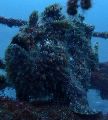 2_꡼󥷥å 2025-11-30 074247.png