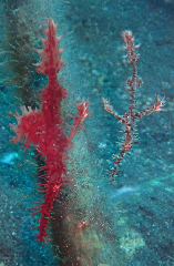 2_꡼󥷥å 2025-11-30 074400.png