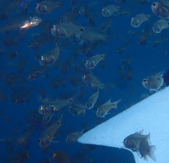 2_꡼󥷥å 2025-11-30 074548.png