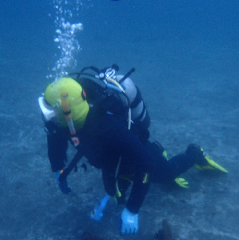 2_꡼󥷥å 2025-11-30 074652.png