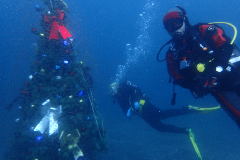 2_꡼󥷥å 2025-11-30 074807.png