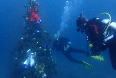 2_꡼󥷥å 2025-11-30 074843.png