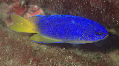 2_꡼󥷥å 2025-11-30 075224.png