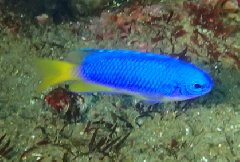 2_���饹�������_�����꡼�󥷥�å� 2025-12-21 072426.png