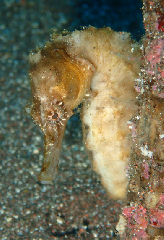 2_�����������_�����꡼�󥷥�å� 2025-12-21 071612.png