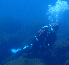 2_�����Ĥ�������С�_�����꡼�󥷥�å� 2026-01-25 125225.png