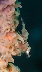 2_�����票�ӡ������꡼�󥷥�å� 2026-01-19 084201.png