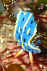 3_�������ߥ���_�����꡼�󥷥�å� 2026-02-15 105459.png