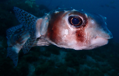 3_���������ե��������꡼�󥷥�å� 2026-01-19 084617.png