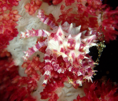 3_ڥȥˡ꡼󥷥å 2025-11-03 094817.png