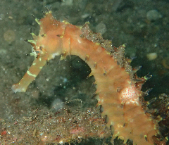 3_Хġ꡼󥷥å 2025-11-03 095205.png