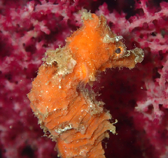 3_�������ߥ���_�����꡼�󥷥�å� 2025-12-21 073538.png