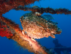 3_������󥫥��륢�󥳥�_�����꡼�󥷥�å� 2025-12-14 061809_1.png