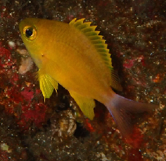 3_�����ͥ���������������꡼�󥷥�å� 2026-01-19 084448.png