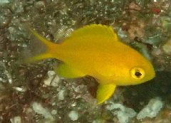 3_rĵ‗꡼󥷥å 2025-11-10 074325.png