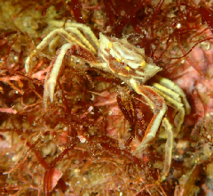 3_���ޥ�����‗�����꡼�󥷥�å� 2025-12-21 074650.png