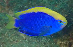 3_꡼󥷥å 2025-11-30 075811.png