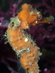 3_꡼󥷥å 2025-11-30 075909_1.png