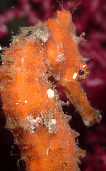 3_꡼󥷥å 2025-11-30 075941.png