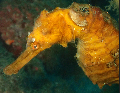 3_꡼󥷥å 2025-11-30 080028.png