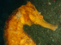 3_꡼󥷥å 2025-11-30 080111.png