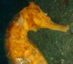 3_꡼󥷥å 2025-11-30 080214.png