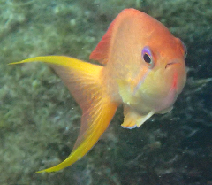 3_꡼󥷥å 2025-11-30 082900.png