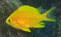 3_꡼󥷥å 2025-11-30 083008.png