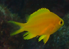 3_꡼󥷥å 2025-11-30 083031.png