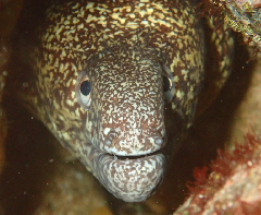 3_꡼󥷥å 2025-11-30 083313.png