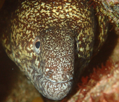 3_꡼󥷥å 2025-11-30 083440_1.png