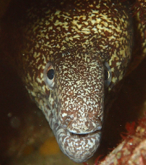 3_꡼󥷥å 2025-11-30 083536.png