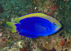 3_���ʥ���ꥹ�������_�����꡼�󥷥�å� 2025-12-21 073734.png