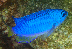 3_饹_꡼󥷥å 2025-11-10 073542.png