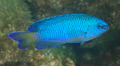 3_饹_꡼󥷥å 2025-11-10 073723.png